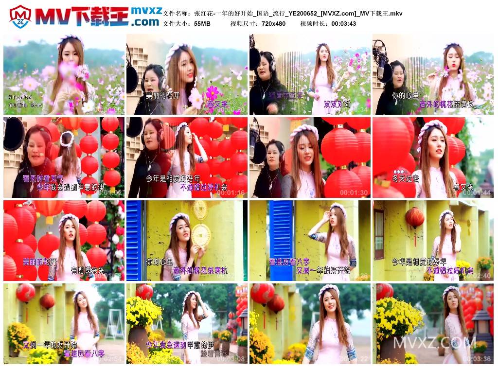 张红花-一年的好开始_国语_流行_YE200652